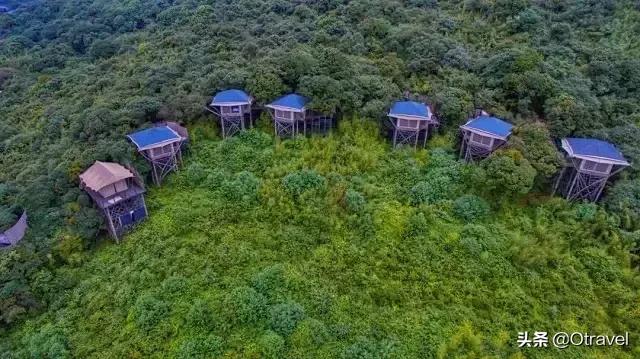 国庆到哪旅游都人山人海?这些地方应季又不挤人