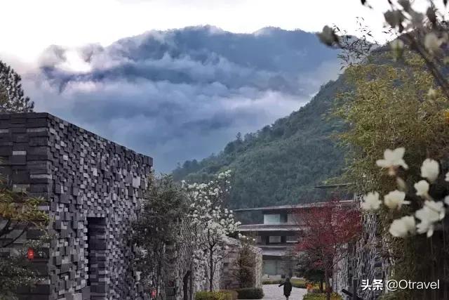 国庆到哪旅游都人山人海?这些地方应季又不挤人
