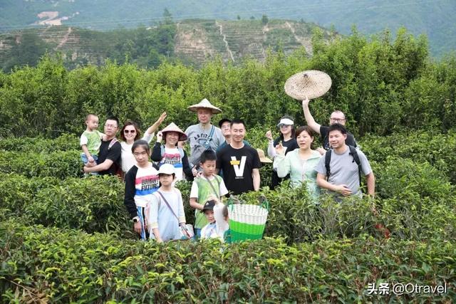 国庆到哪旅游都人山人海?这些地方应季又不挤人