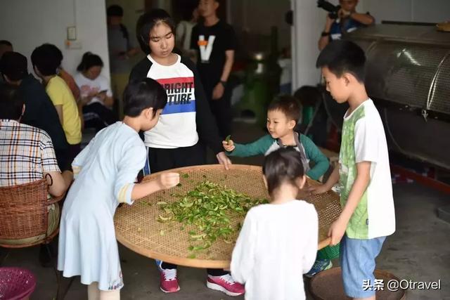 国庆到哪旅游都人山人海?这些地方应季又不挤人