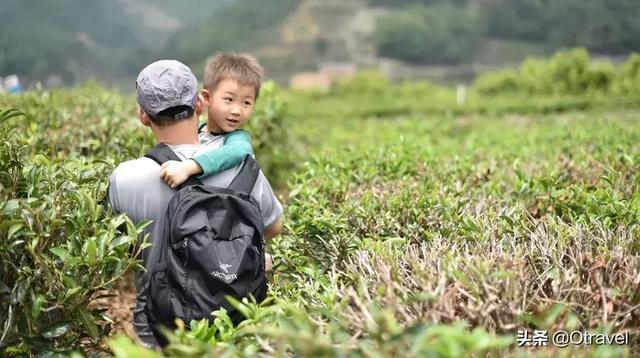 国庆到哪旅游都人山人海?这些地方应季又不挤人