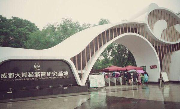 2019成都最强旅游攻略,住宿美食美景一篇全搞定(国庆旅游必看)