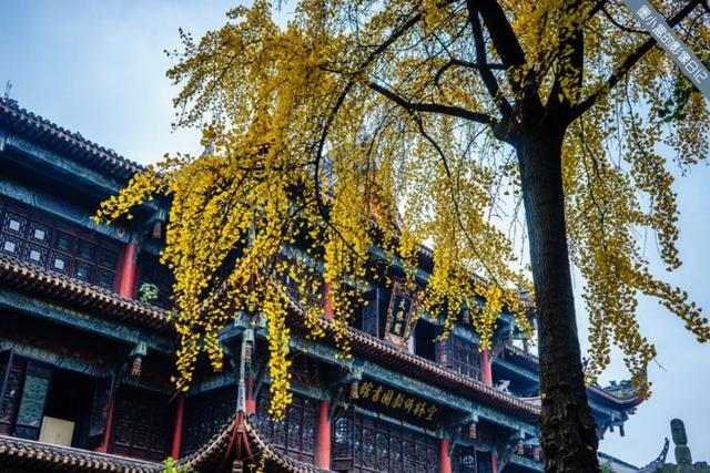 2019成都最强旅游攻略,住宿美食美景一篇全搞定(国庆旅游必看)