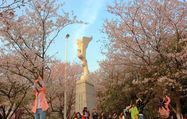 2019中国网红大学排行榜