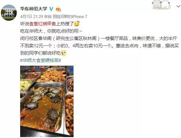 2019中国网红大学排行榜